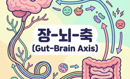 미생물군-장-뇌 축(Microbiota-Gut-Brain Axis)